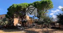 For Sale – Rural Property of Approximately 900 m² with 22 Hectares of Land